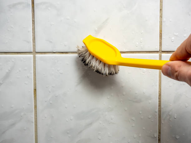 Office Mold Removal Services in Owens Cross Roads, AL