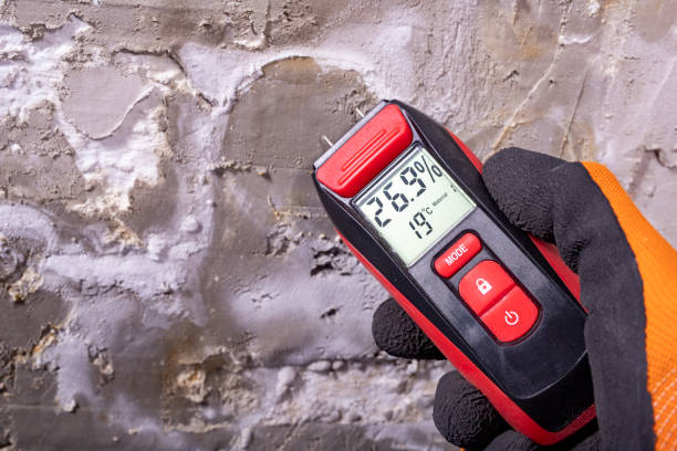 Best Water Damage Restoration  in Owens Cross Roads, AL